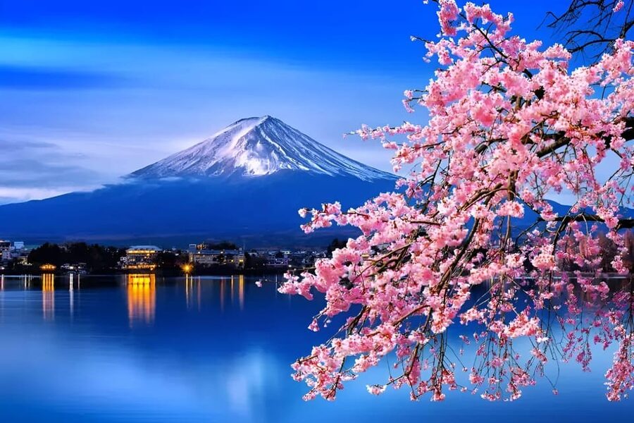 From Tokyo: Mount Fuji & Hakone Full Day Private Tour - Fuji Subaru Line 5th Station at 2,300 metres