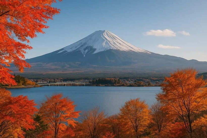 From Tokyo: Mount Fuji One-Day Private Customizable Tour - Seating and comfort inside the car