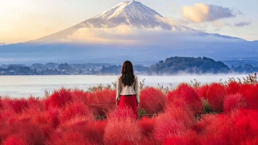 From Tokyo:Mount Fuji Private Customizable Tour With English - Lake Kawaguchi and the classic Fuji view