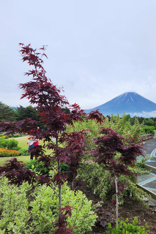From Tokyo:Mount Fuji Private Customizable Tour With English - Hakone by ropeway, boat, and open-air art