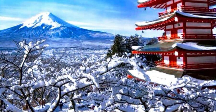 From Tokyo:Mount Fuji Private Customizable Tour With English - Shrines that add meaning to the route