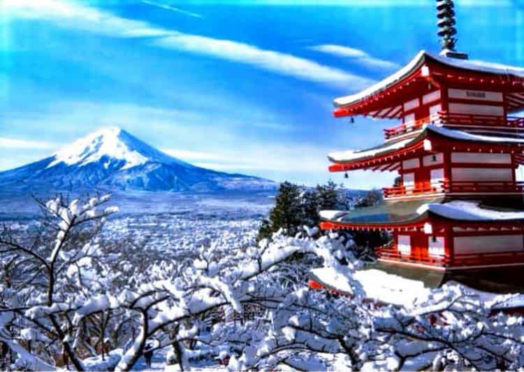 From Tokyo:Mount Fuji Private Customizable Tour With English - Starting at Mt. Fuji 5th Station