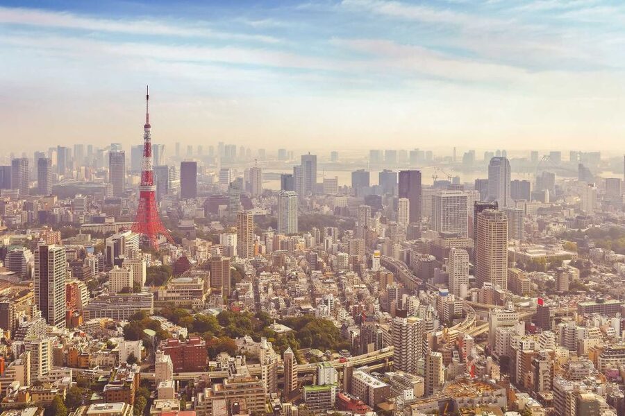 From Tokyo: Mount Fuji Private Day Tour - A private way to reach Mount Fuji from Tokyo