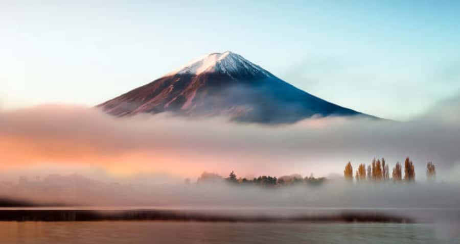 From Tokyo : Mount Fuji Private Day Tour with English Driver - Seven or more stops, or a tighter five-stop day?