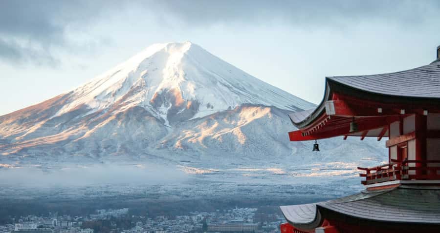 From Tokyo : Mount Fuji Private Day Tour with English Driver - Comfort, vehicle choices, and what is included