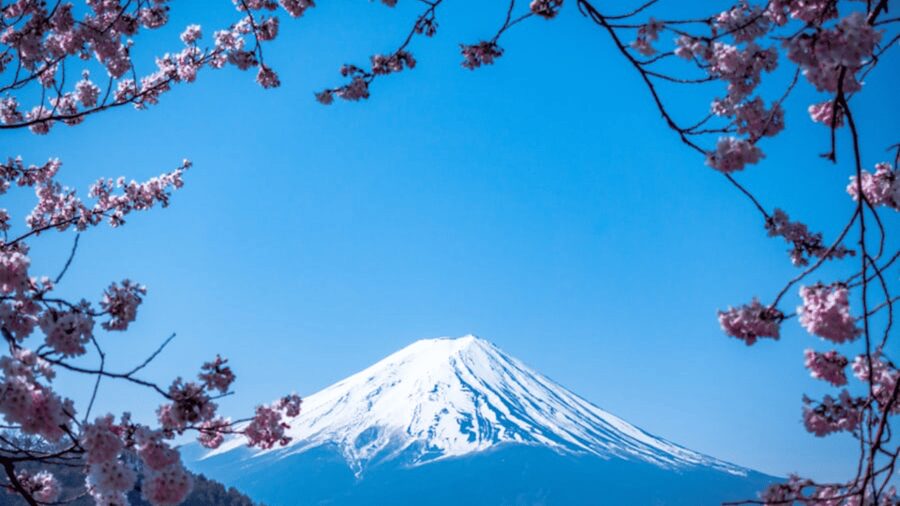 From Tokyo: Mount Fuji Private Day Tour With English Guide - A private start from your Tokyo hotel