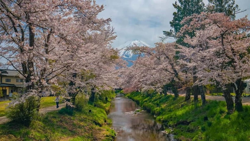 From Tokyo: Mount Fuji Private Tour with a Driver/Guide - Key points to know before you go