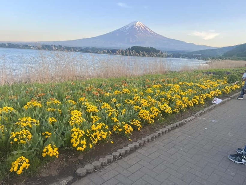 From Tokyo: Mount Fuji Private Tour with a Driver/Guide - Why a private Mount Fuji day can make sense