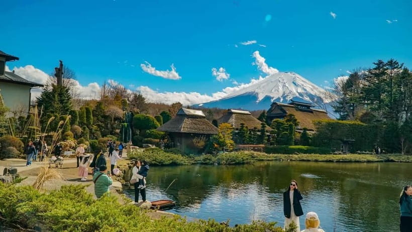 From Tokyo: Mount Fuji Private Tour with a Driver/Guide - The driving experience and the guide question