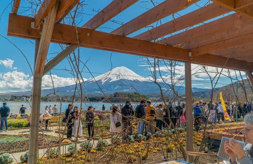 From Tokyo: Mount Fuji Private Tour with a Driver/Guide - What the $451 price really buys you