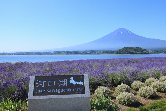 From Tokyo: Mount Fuji Sightseeing Full Day Trip - Why this Mount Fuji day trip works