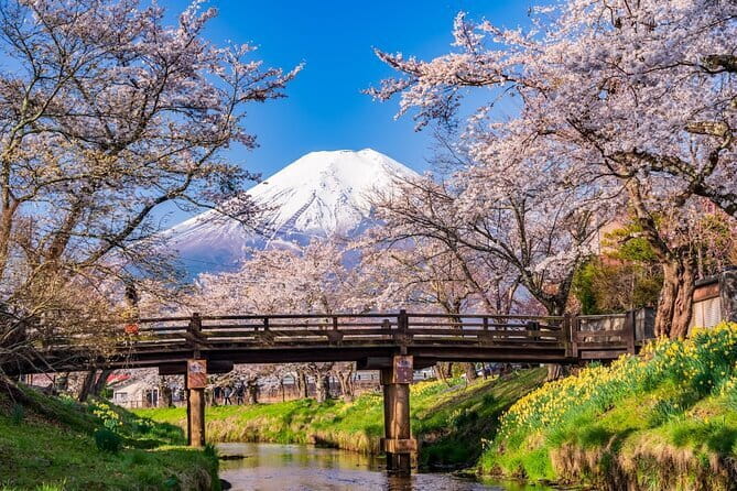 From Tokyo: Mount Fuji Sightseeing One Day Trip - Key points at a glance