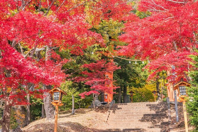 From Tokyo: Mount Fuji Sightseeing One Day Trip - Why this Mount Fuji tour works from Tokyo