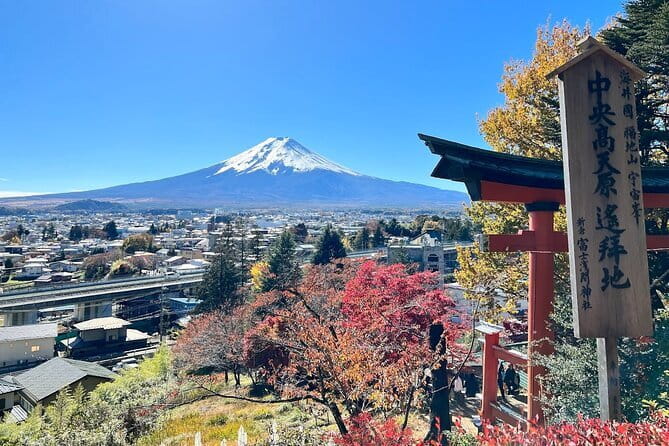 From Tokyo: Mount Fuji Sightseeing One Day Trip - Hikawa Clock Shop is an urban Fuji photo scene