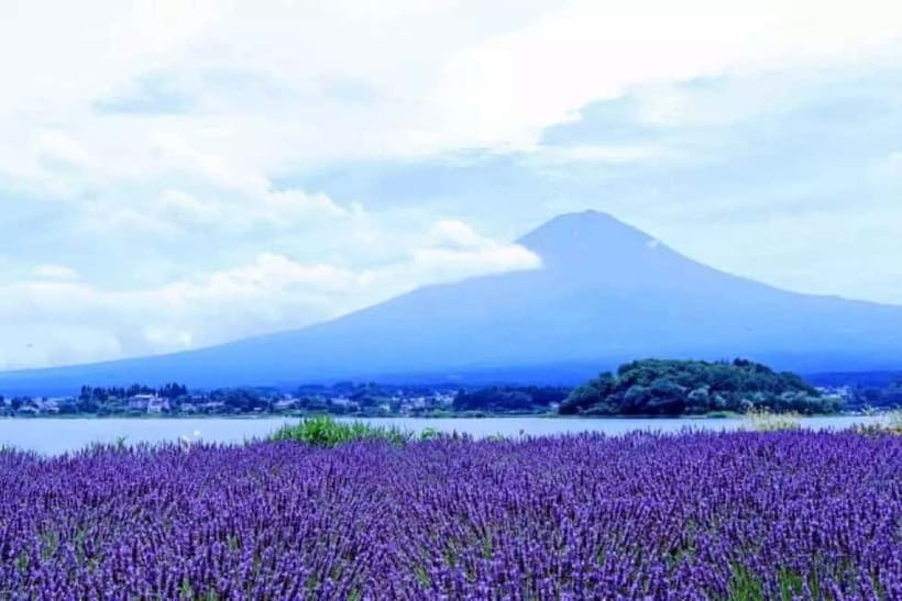 From Tokyo: Mt. Fuji 5th station and Oshino Hakkai Day Trip - Why this Fuji day trip works from Tokyo