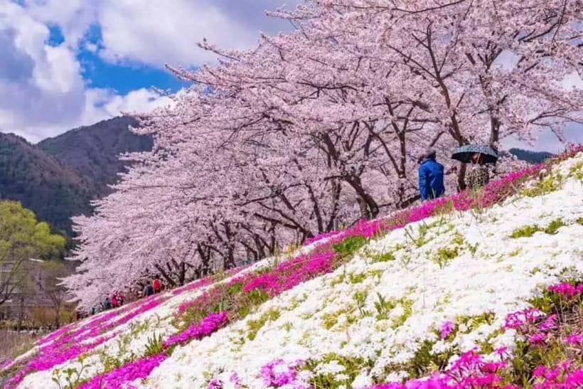 From Tokyo: Mt. Fuji 5th station and Oshino Hakkai Day Trip - The guide can shape the whole day