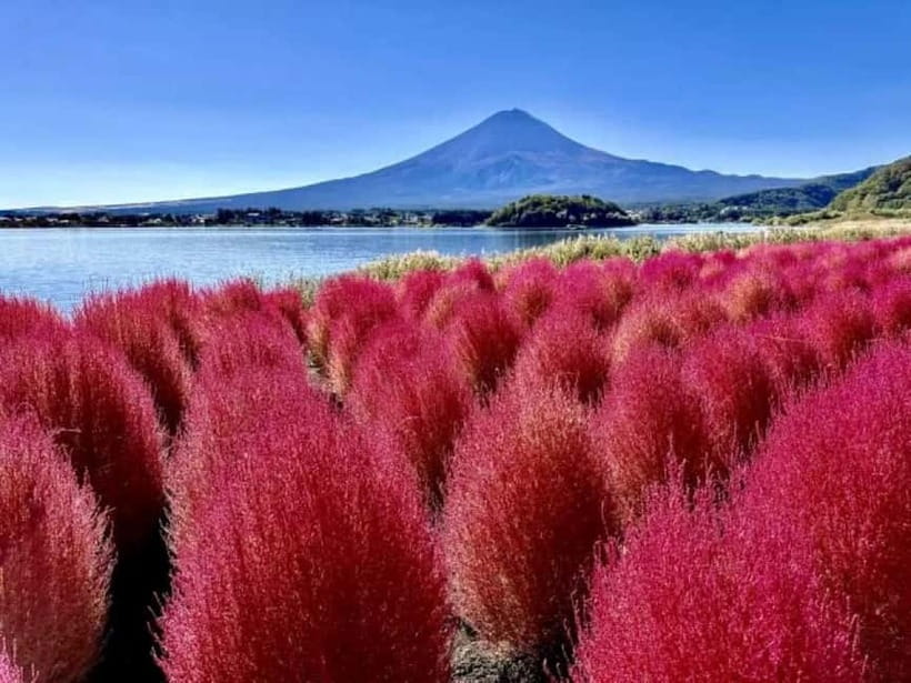From Tokyo: Mt. Fuji 5th station and Oshino Hakkai Day Trip - Timing, crowds, and the real pace
