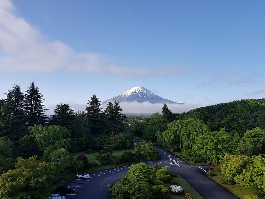 From Tokyo: Mt. Fuji And Hakone Private Sightseeing Day Trip - Key points to know before booking