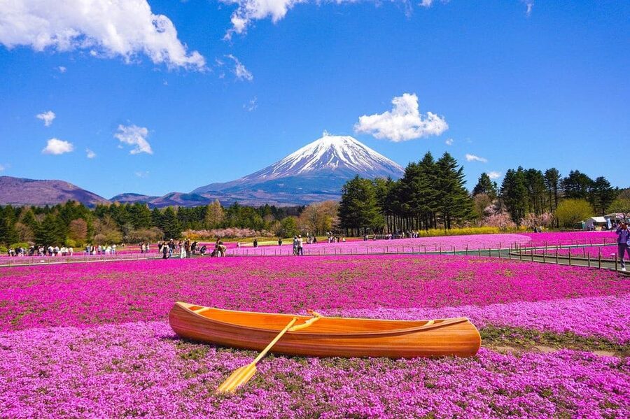 From Tokyo: Mt. Fuji And Hakone Private Sightseeing Day Trip - What the $419 price really buys you