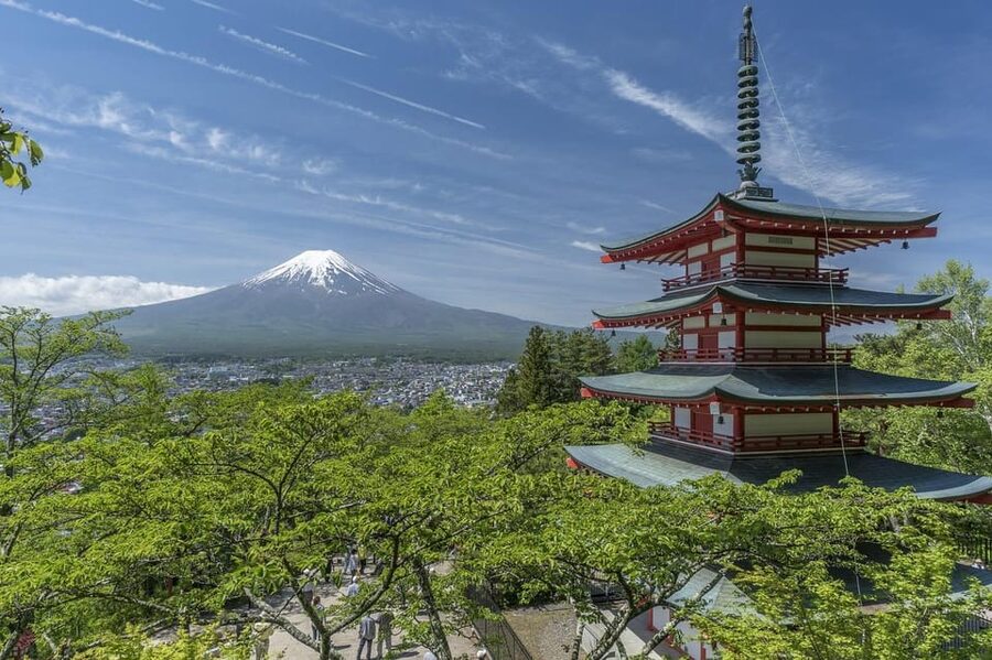 From Tokyo: Mt. Fuji And Hakone Private Sightseeing Day Trip - Should you book it?