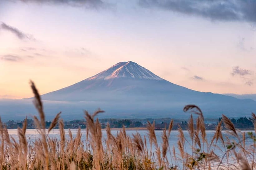 From Tokyo: Mt.Fuji & Gotemba Private Customizable Day Trip. - Oishi Park brings a calmer view of Lake Kawaguchi