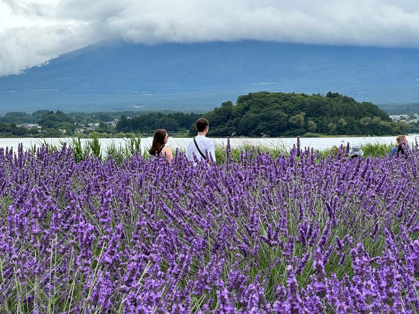 From Tokyo: Mt.Fuji & Gotemba Private Customizable Day Trip. - The long return to Tokyo is the main practical drawback