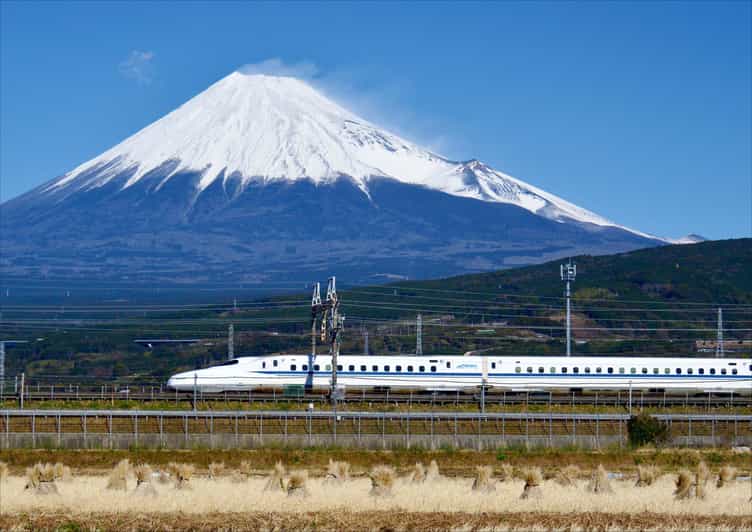 From Tokyo: Mt. Fuji & Hakone Tour w/ Return by Bullet Train - Key points to know before booking