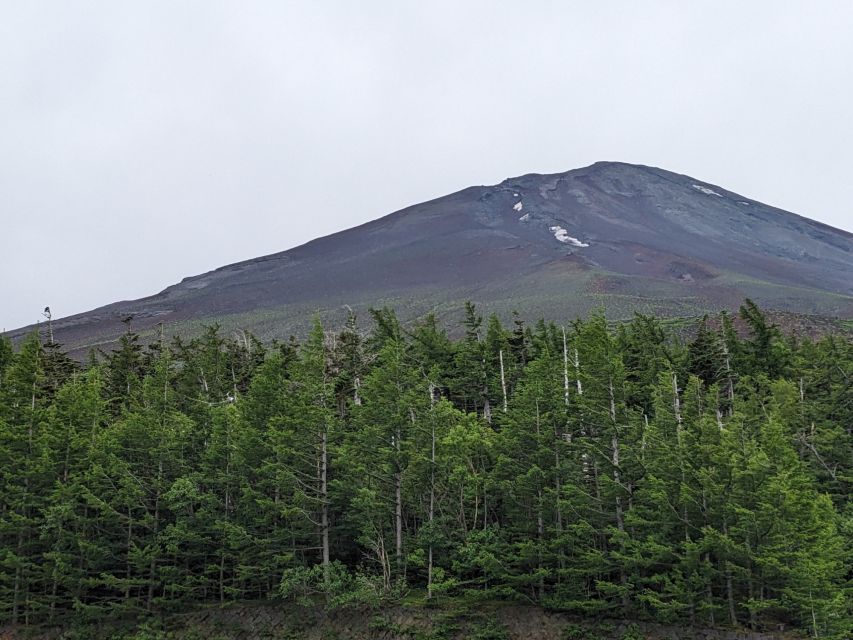 From Tokyo: Mt. Fuji & Hakone Tour w/ Return by Bullet Train - Who should book this Fuji and Hakone tour?