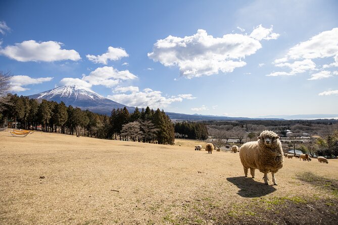 From Tokyo Mt.Fuji, Lake Kawaguchi, Makaino Farm day tour - Saiko Iyashi no Sato Nemba, a village of thatched roofs