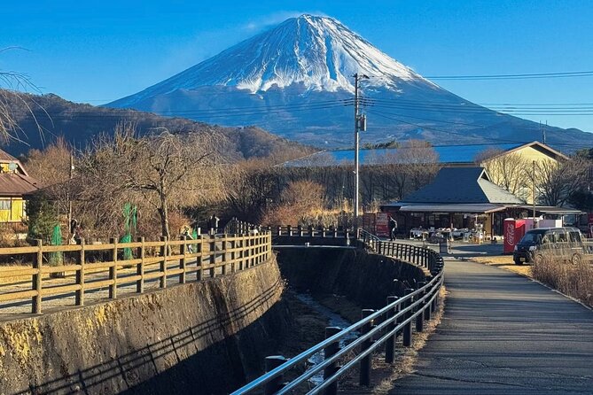 From Tokyo Mt.Fuji, Lake Kawaguchi, Makaino Farm day tour - Makaino Farm, the day’s main event