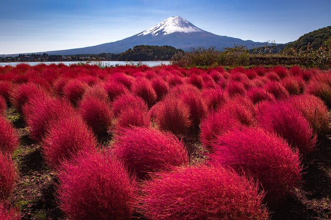 From Tokyo Mt.Fuji, Lake Kawaguchi, Makaino Farm day tour - What the $84.70 price really covers