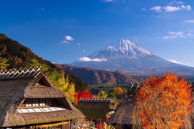 From Tokyo Mt.Fuji, Lake Kawaguchi, Makaino Farm day tour - The weather question