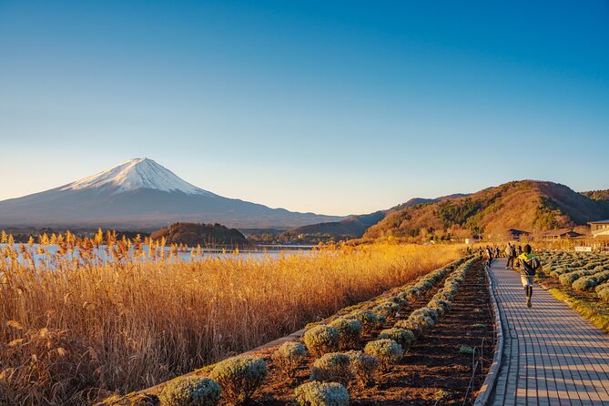 From Tokyo Mt.Fuji, Lake Kawaguchi, Makaino Farm day tour - Oishi Park and the first Fuji view