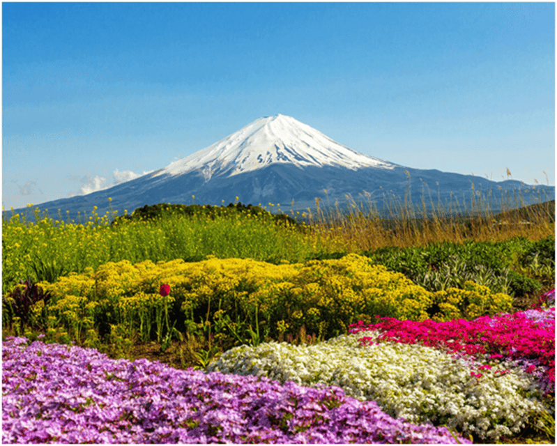 From Tokyo: Mt.Fuji, Lake Kawaguchi, Oshino Hakkai Day Tour - The return to Tokyo takes time