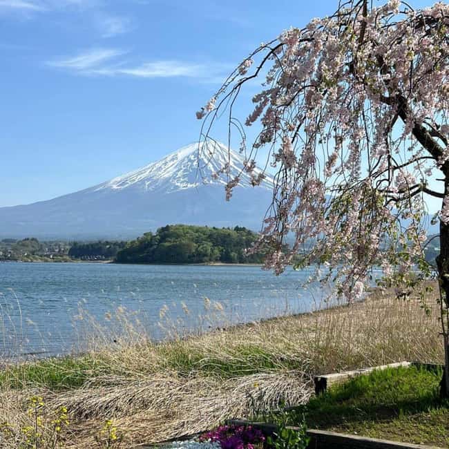 From Tokyo: Mt Fuji Private Day Tour In Luxury Land Cruiser - Why a private Mt Fuji day works better than a fixed bus route