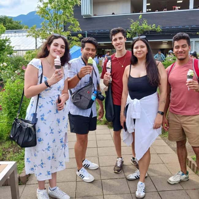 From Tokyo: Mt Fuji Private Day Tour In Luxury Land Cruiser - Gotemba Premium Outlets and the danger of overpacking the day