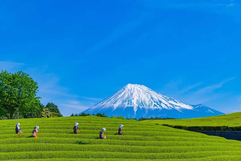 From Tokyo: Must-Visit Mount Fuji Highlight Full-Day Tour - Shiraito Waterfall, a welcome break from the mountain chase