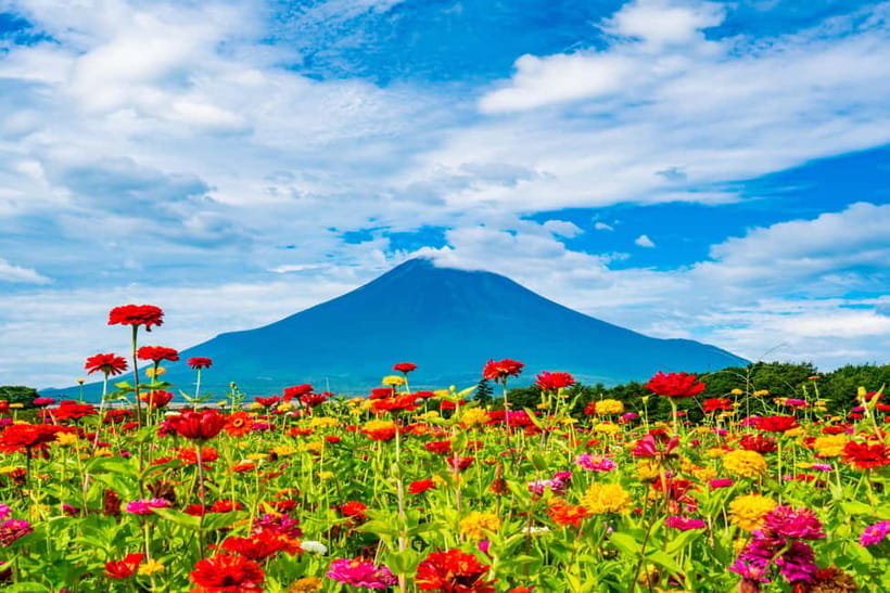 From Tokyo: Must-Visit Mount Fuji Highlight Full-Day Tour - The museum and optional matcha stop