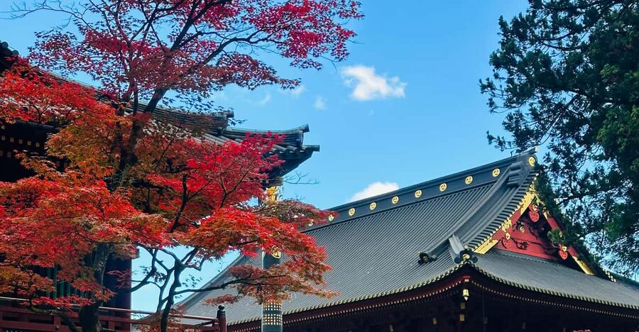 From Tokyo: Nikko Customize private Tour With English Driver - Rinnoji Temple for a calmer Buddhist pause