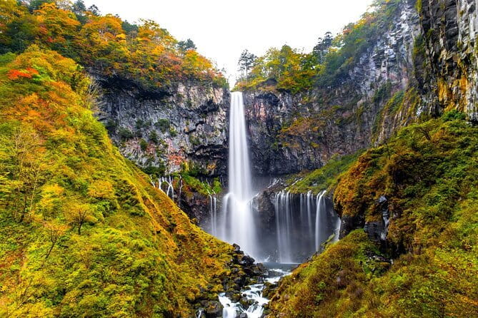 From Tokyo: Nikko Toshogu Shrine and Kegon Waterfall Tour - Meeting the bus and settling into the day