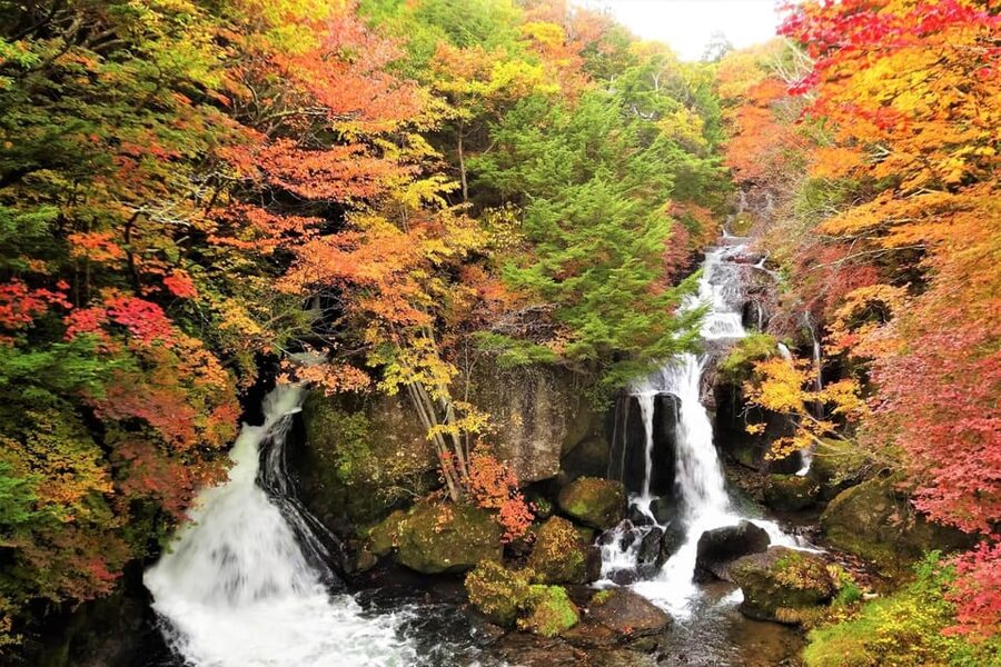 From Tokyo: Nikko World Heritage Site Private Full-Day Trip - Akechidaira Ropeway brings the first big view