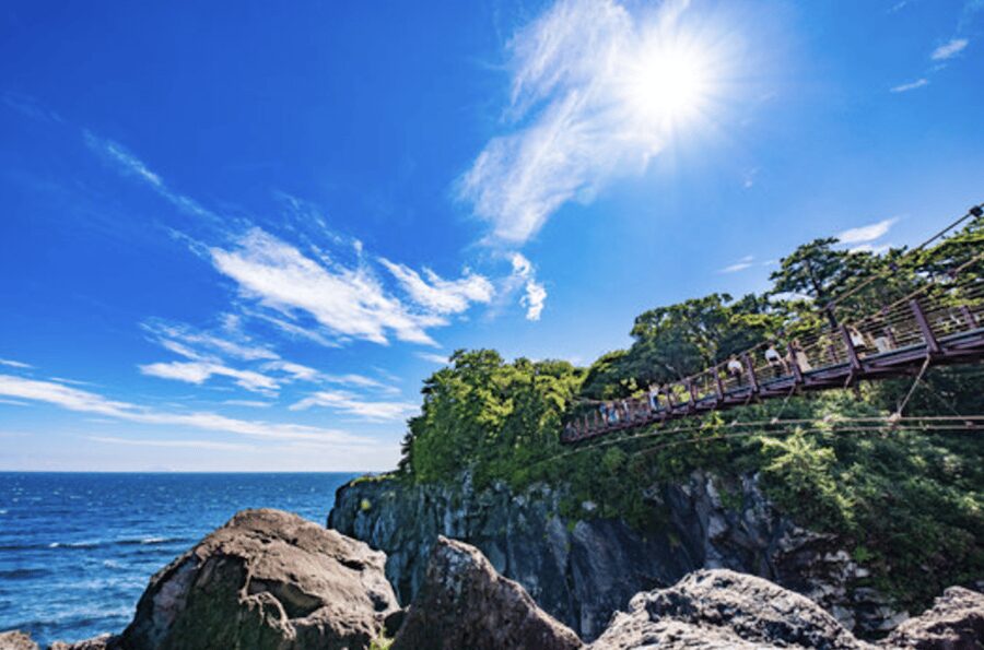 From Tokyo: Private Day Trip to Izu & Shimoda, Shizuoka - Why Shimoda makes a worthwhile day trip from Tokyo
