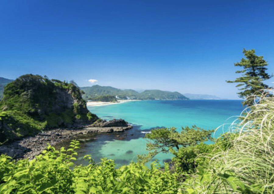 From Tokyo: Private Day Trip to Izu & Shimoda, Shizuoka - Perry Road and Shimoda’s older streets