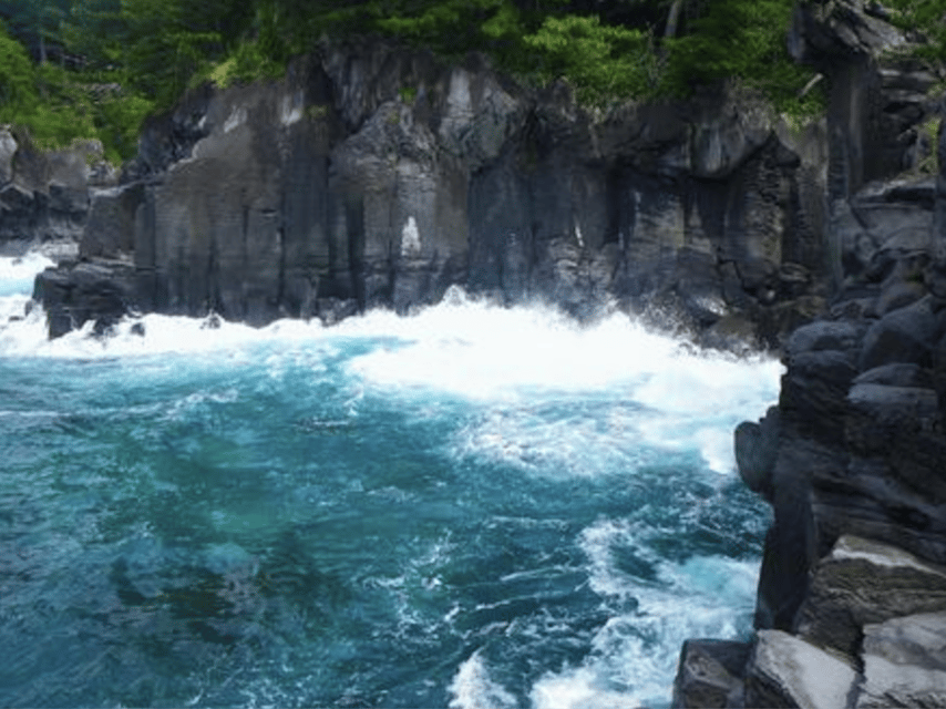 From Tokyo: Private Day Trip to Izu & Shimoda, Shizuoka - Guide, group size, and service