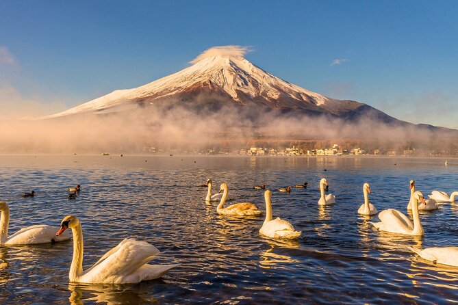 From Tokyo: Private Day Trip to Mount Fuji & Fuji Five lakes - Key points at a glance