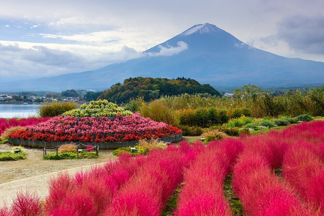 From Tokyo: Private Day Trip to Mount Fuji & Fuji Five lakes - Oshino Hakkai and Fuji spring water