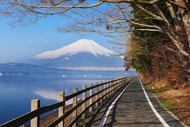 From Tokyo: Private Day Trip to Mount Fuji & Fuji Five lakes - Oishi Park and the garden beside the lake