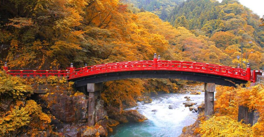 From Tokyo: Private Day Trip to Nikko and Lake Chuzenji - Akechidaira Observation Deck for the big view