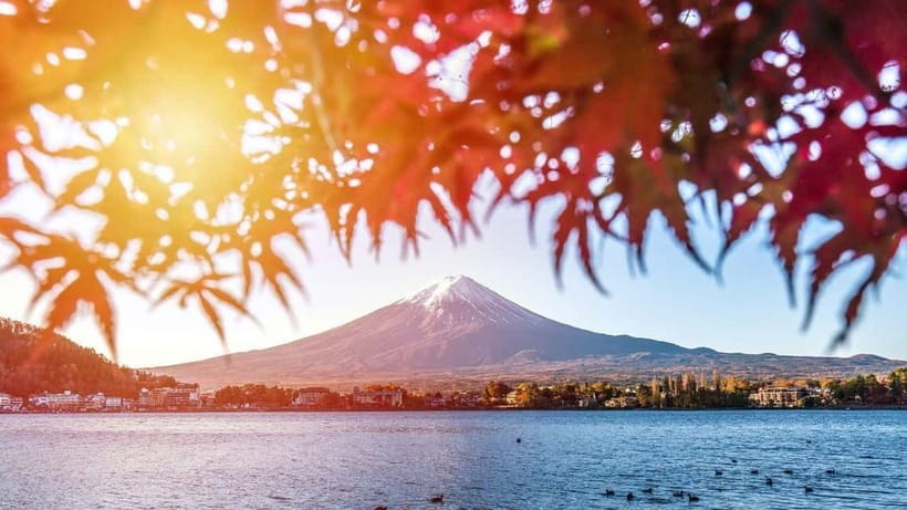 From Tokyo: Private Mt. Fuji and Hakone Tour by Car - Key points at a glance