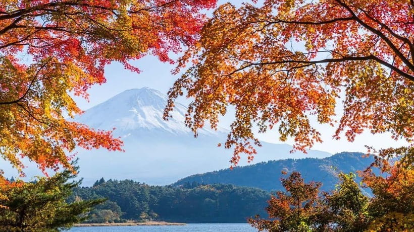 From Tokyo: Private Mt. Fuji and Hakone Tour by Car - Why this private Fuji day works
